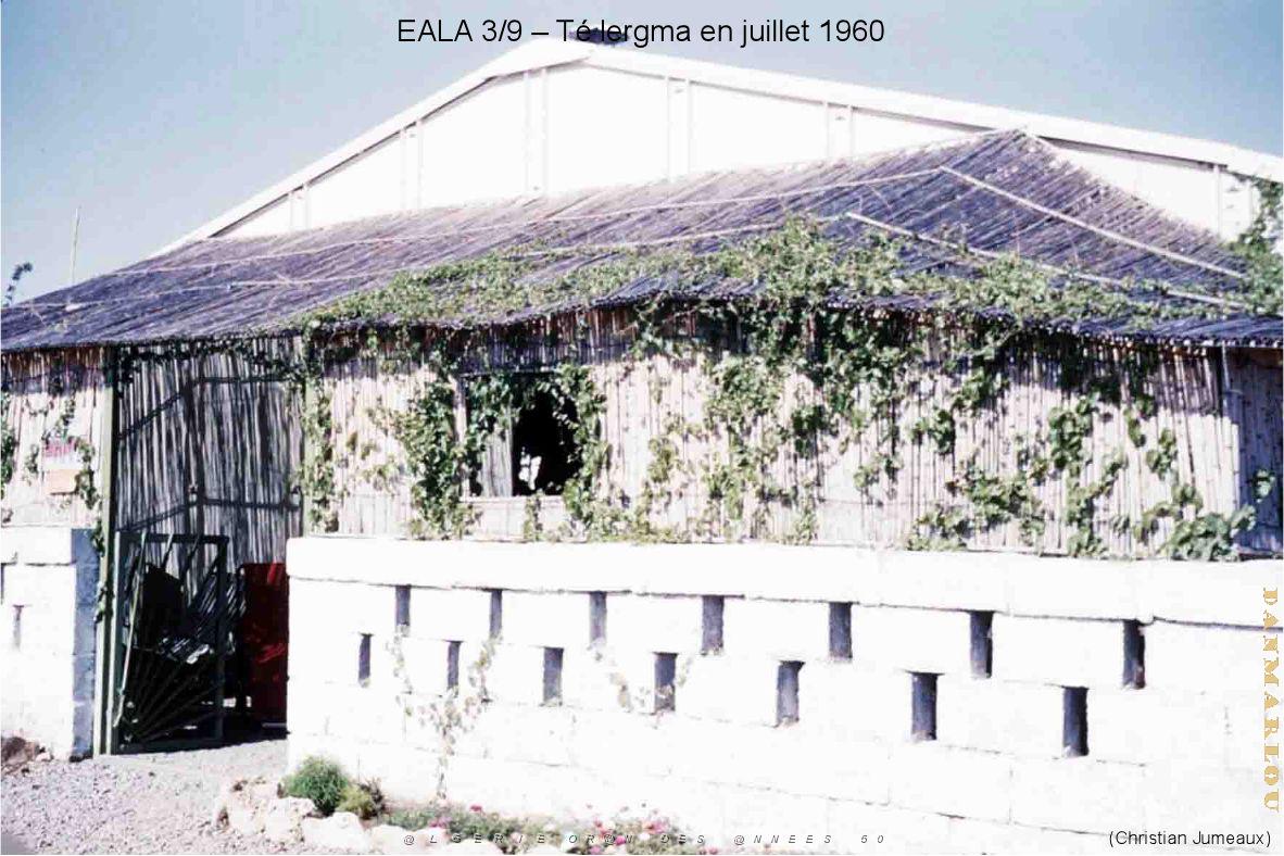 199- ARMEE DE L'AIR EN ALGERIE 1945-1962-47 (68).jpg